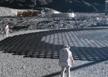 Flower in Space 10