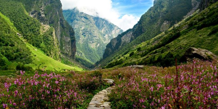 Valley Of Flowers Uttarakhand: ਫੁੱਲਾਂ ਬਾਰੇ ਕੁਝ ਅਜਿਹਾ ਹੈ, ਇੱਕ ਵਾਰ ਤੁਸੀਂ ਇਨ੍ਹਾਂ ਨੂੰ ਦੇਖ ਲਓ ਤਾਂ ਤਨ ਤੇ ਮਨ ਨੂੰ ਸਕੂਨ ਮਹਿਸੂਸ ਮਿਲਦਾ ਹੈ। ਉਂਝ ਤਾਂ ਤੁਸੀਂ ਹੁਣ ਤੱਕ ਸਿਰਫ਼ ਇੱਕ ਫੁੱਲ ਜਾਂ ਫੁੱਲਾਂ ਦਾ ਝੁੰਡ ਹੀ ਦੇਖਿਆ ਹੋਵੇਗਾ, ਪਰ ਕੀ ਤੁਸੀਂ ਕਦੇ ਫੁੱਲਾਂ ਦੀ ਵੈਲੀ ਬਾਰੇ ਸੁਣਿਆ ਹੈ, ਜਿੱਥੇ ਤੁਸੀਂ ਦੂਰ-ਦੂਰ ਤੱਕ ਰੰਗ-ਬਿਰੰਗੇ ਫੁੱਲ ਦੇਖ ਸਕਦੇ ਹੋ।