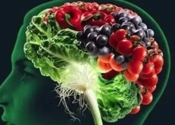 Superfoods-For-Brain.jpg