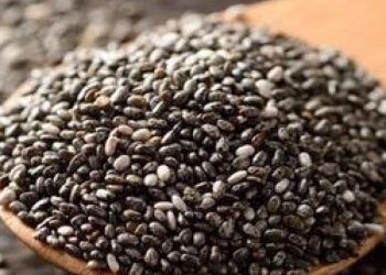 chia_seeds1_500x