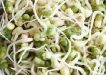 sprouts_625x350_61421916057