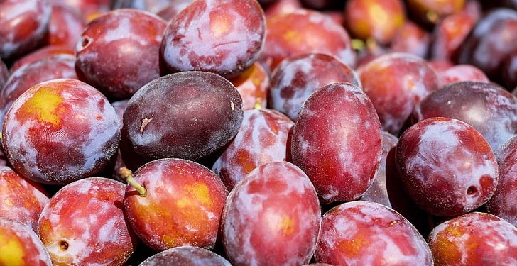 Plum Health Benefits: ਅੱਜ ਅਸੀਂ ਇਮਿਊਨਿਟੀ ਸਬੰਧੀ ਹੀ ਤੁਹਾਡੇ ਨਾਲ ਗੱਲਬਾਤ ਕਰਾਂਗੇ ਤੇ ਦਸਾਂਗੇ ਕਿ ਕਿਹੜਾ ਅਜਿਹਾ ਫਲ ਹੈ, ਜੋ ਤੁਹਾਡੀ ਇਮਿਊਨਿਟੀ ਨੂੰ ਬੂਸਟ ਕਰਨ ਲਈ ਤੁਹਾਡੀ ਮਦਦ ਕਰੇਗਾ।