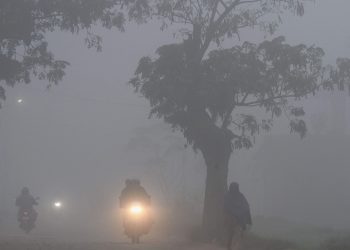 Mohali: People commute through dense fog, near Mohali, Monday, Dec. 30, 2019. (PTI Photo)  (PTI12_30_2019_000068B)